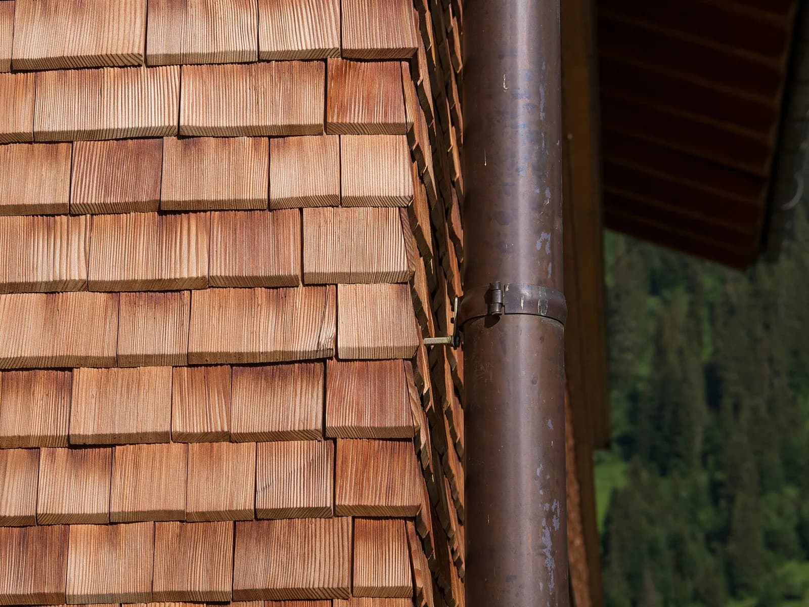Fassadendetail – Tiny House in Rosenheim – Foto: Basotxerri, CC BY-SA 4.0